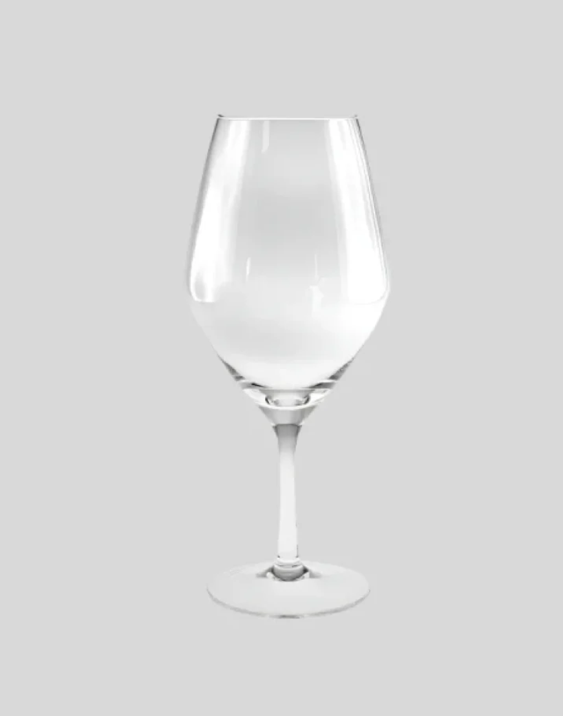 Savor Wine Glass Gift Box